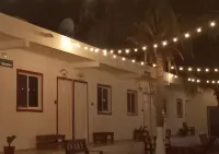 Habitacion 11 Tiburón Alfombra Squalosplace