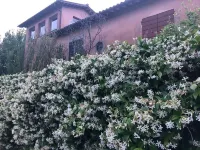 Farmhouse with pool and park, ideal for families or groups of friends فنادق في Calvi dell'Umbria