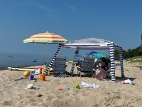 Private 4 bedroom home in Bridgman offers a cozy retreat & best of  town life.