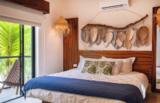 Suite Tropical N11 Downtown