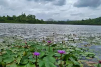 Bloomingdales Lake view Private Villa in Wayanad