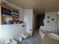 Small cozy house in the countryside