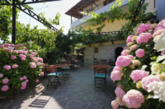 Palorto Hotel Hotels in 