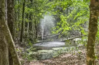 Enchanting 'Whitney Cabin' w/ Beach & Creek! - Pet friendly
