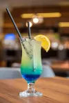 Vestina Wellness & Spa Hotel - Baarit