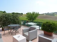 Apartment Amidst Vineyards & Blue Skies Hotele w: Coriano