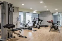 歐洲之星雷納費利西亞酒店 - 健身室/gym room
