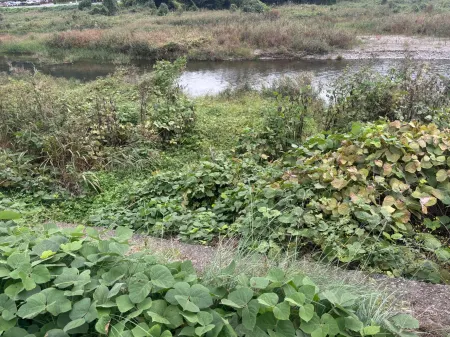 Godmoon3Prkg1100Checkout