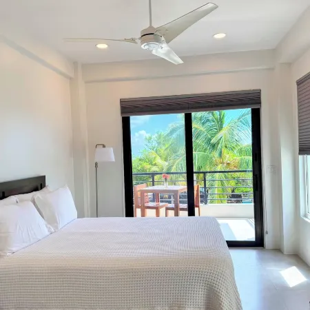 Hibisco Belize