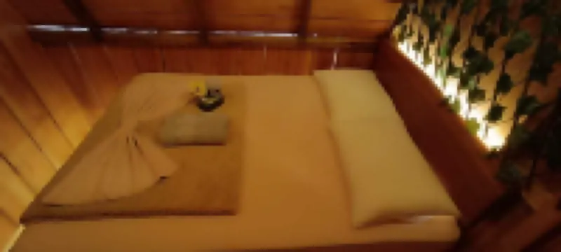 Amazon Private Tours Jungle Lodge Hotels in 