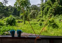 The Forest Elephant - Formerly Known As the Flying Elephant - Homestays