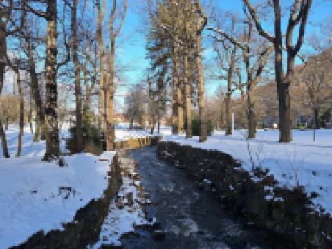 Fewo Berg-domizil Bad Harzburg mt Eigenem Kellerraum für Fahrräder Oder Skier