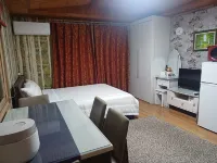 Sancheong Nice View Pension - Wifi