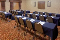 Holiday Inn Express SYRACUSE-FAIRGROUNDS by IHG - Pet friendly