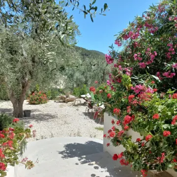 Hmo Glamping & Suites in Vignanotica