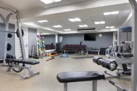DoubleTree by Hilton St. Anne's Manor - Gym