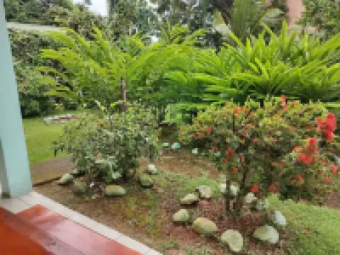 伊達爾戈別墅小屋