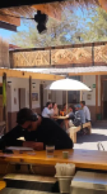 Vientos - la Yareta