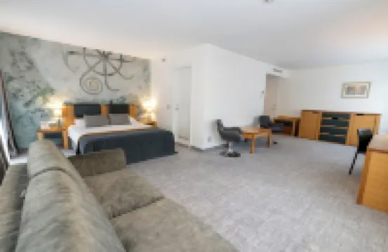 Gabija Hotel Spa & Conferences