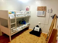 Backpacker Bunks and Queen Pool  Clifton Beach