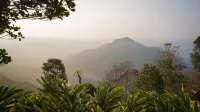 Willmount Cabin Homes, Munnar - 3-Star