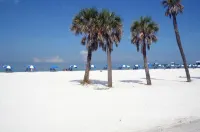 Pool Hottub 5 Miles Clearwater Irb Pet Friendly - Beach