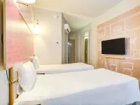 Ibis Paranagua