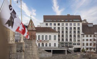 Merian am Rhein