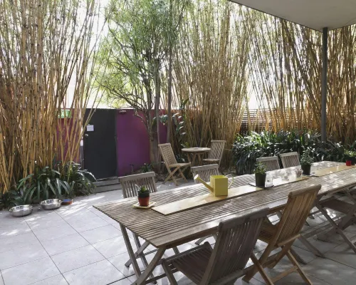 Dive Hotel Hotels in Coogee