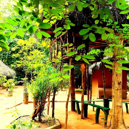 Sisira Natural Lodge - Sigiriya