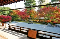 HOTEL LiVEMAX Kyoto Nijo-JO-Kita - acceptant les animaux