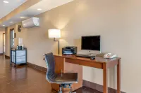 Comfort Inn & Suites - Gym