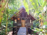 Almonds and Corals Boutique Hotel - Homestays