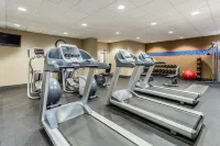 Hampton Inn & Suites Chicago-Libertyville - Træningscentre