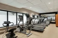 Embassy Suites by Hilton Arcadia-Pasadena Area - Gym