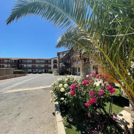 Palms Inn & Suites