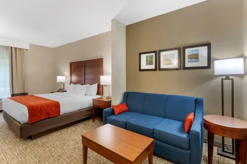 Comfort Inn & Suites Canton Riverstone Area - petit déjeuner