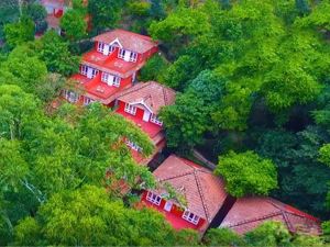 Tea Valley Resort, Munnar