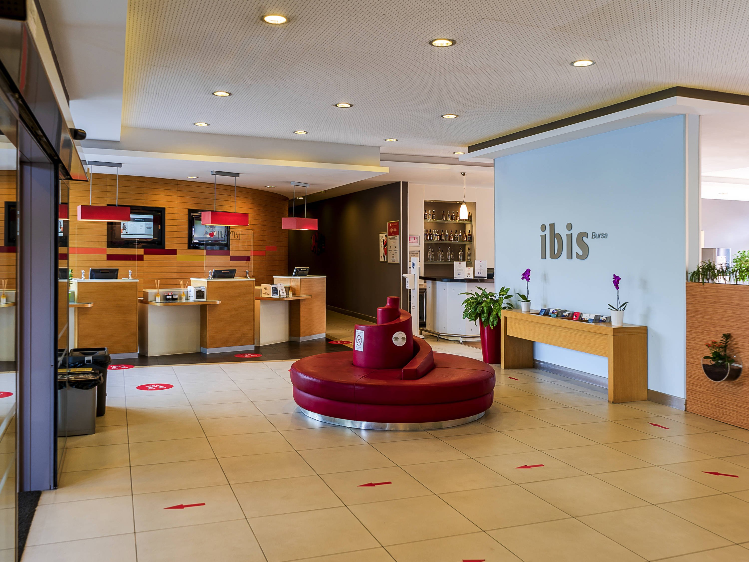 Ibis Bursa