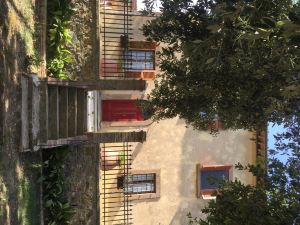 A Path of Relaxation and History Between Vineyards and Olive Trees