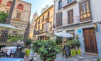 Picasso Suites Malaga