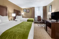 Comfort Inn Edison - New Brunswick - Wi-Fi