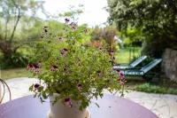La Pascaline Registered Accommodation 4 Star, Gites in France , Recommended by “l