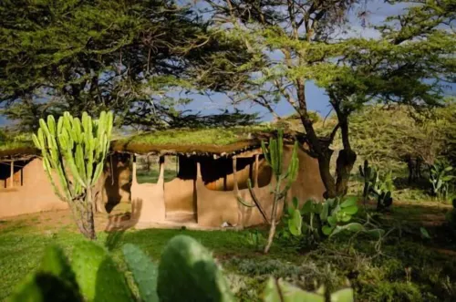Maji Moto Maasai Cultural Camp - Homestays