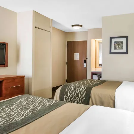 Comfort Inn Pine Grove I-81 Hershey Area