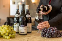 Sure Hotel by Best Western Dijon Sud - bar