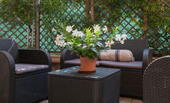 a patio with a potted plant and a couch , surrounded by potted plants and chairs at Hotel Del Corso