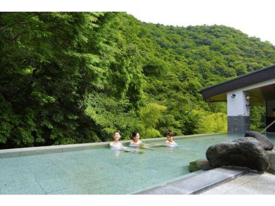 屋外プール 箱根湯本温泉 天成園の写真