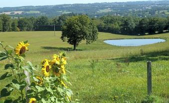 A l'Ombre du Marronnier