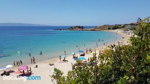 檸檬樹住宿加早餐酒店